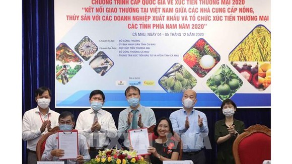Đẩy mạnh tiêu thụ, phát triển thị trường xuất khẩu cho các sản phẩm thế mạnh khu vực phía Nam năm 2020