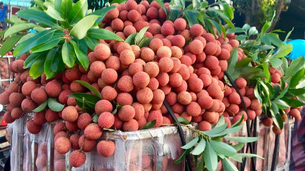 Gỡ áp lực cửa khẩu, thúc đẩy xuất khẩu quả vải mùa cao điểm