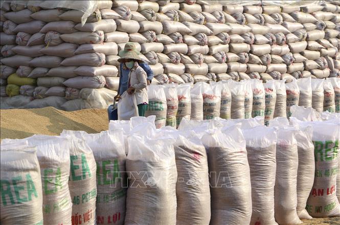 Giá gạo Việt Nam tăng lên mức cao nhất kể từ cuối tháng 4/2023