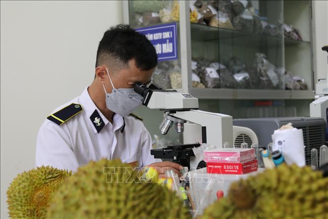 Bộ Y tế đề xuất tạm ngưng hiệu lực và điều chỉnh thời hạn áp dụng Nghị định 46 và Nghị quyết 66