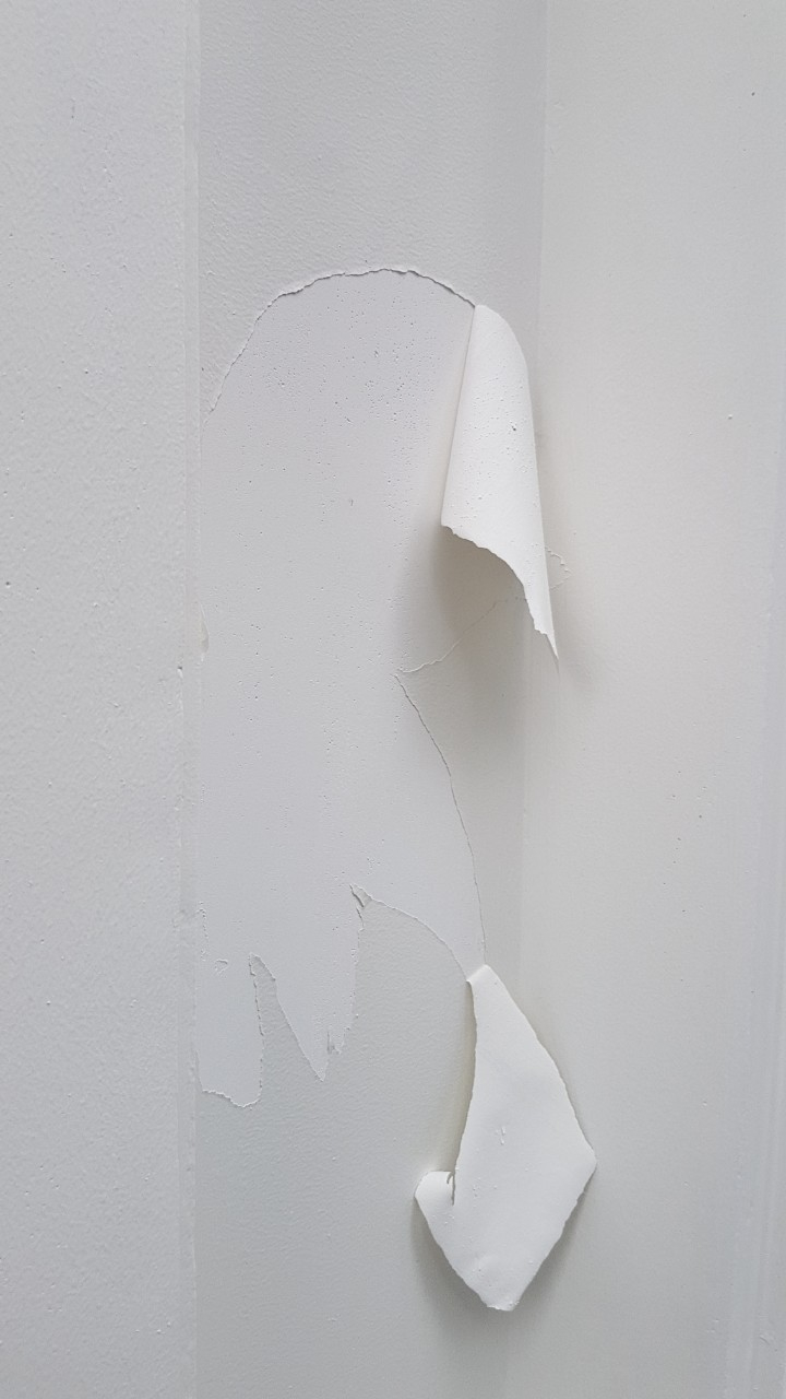 sơn Dulux2.jpg