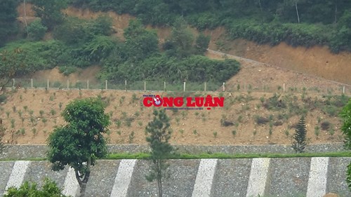 Hoàng Lê11.jpg