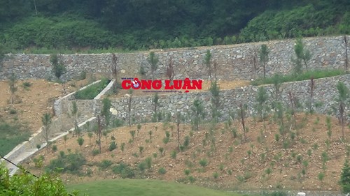 Hoàng Lê3.jpg