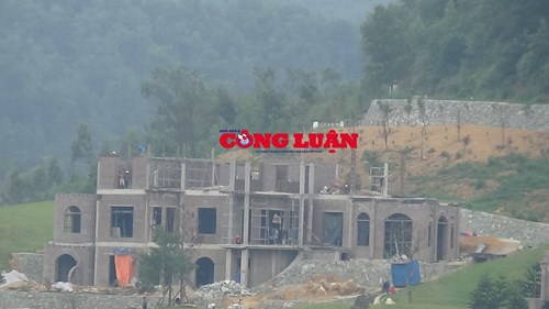 Hoàng Lê5.jpg