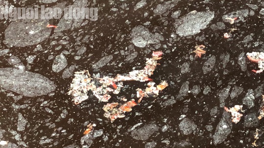 sài gòn ớt.jpg