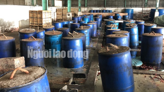 sài gòn ớt3.jpg