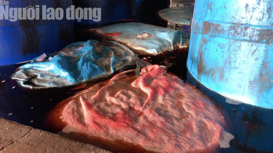 sài gòn ớt8.jpg