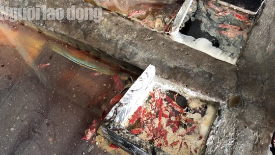 sài gòn ớt9.jpg