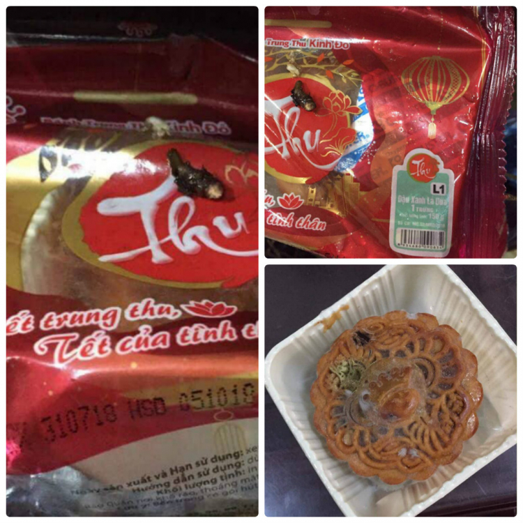 Kinh Đô3.jpg