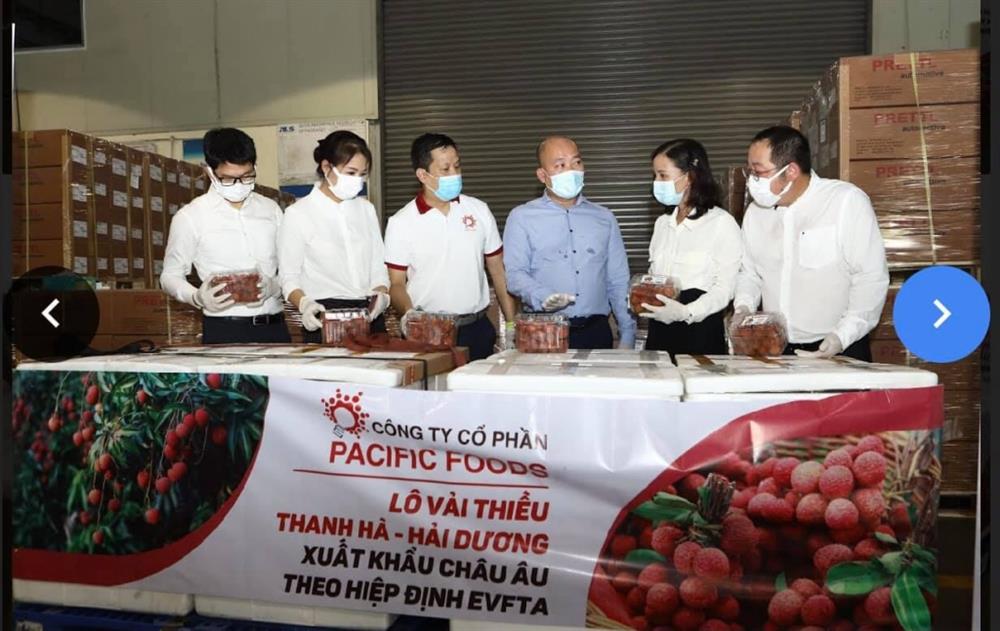 Vải thiều Thanh Hà - Bắc Giang lần đầu tiên có mặt tại thị trường EU