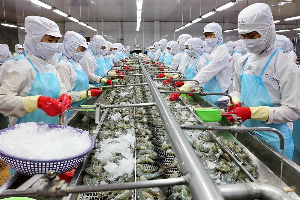 Tôm xuất khẩu năm 2021 đạt 3,9 tỷ USD