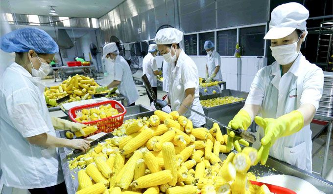 Hỗ trợ doanh nghiệp ngành thực phẩm và đồ uống xuất khẩu thông minh